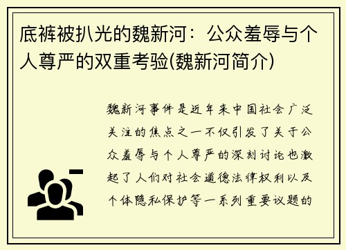 底裤被扒光的魏新河：公众羞辱与个人尊严的双重考验(魏新河简介)